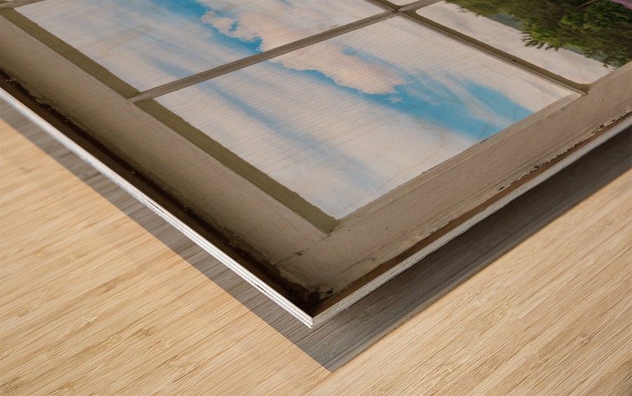 Lavender plants in blossom in early July through window Impression sur bois