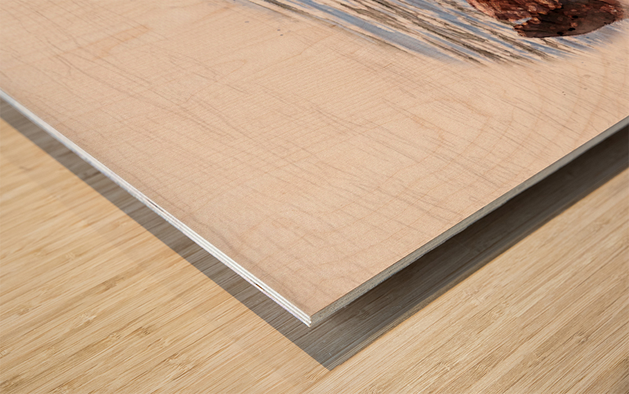 Digital watercolor of Sea Otter floating in the sea Wood print