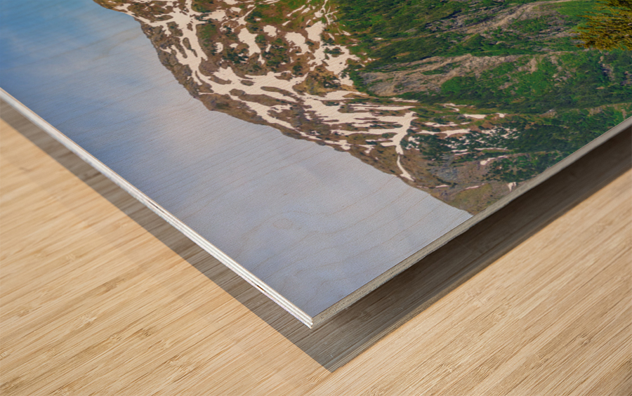 View from Mount Roberts toward Mt Juneau with waterfall in Alask Impression sur bois