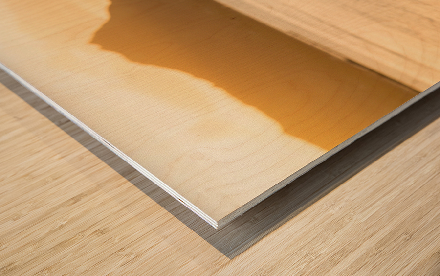 Dragon head carving on Hawaiian canoe in Oahu Impression sur bois