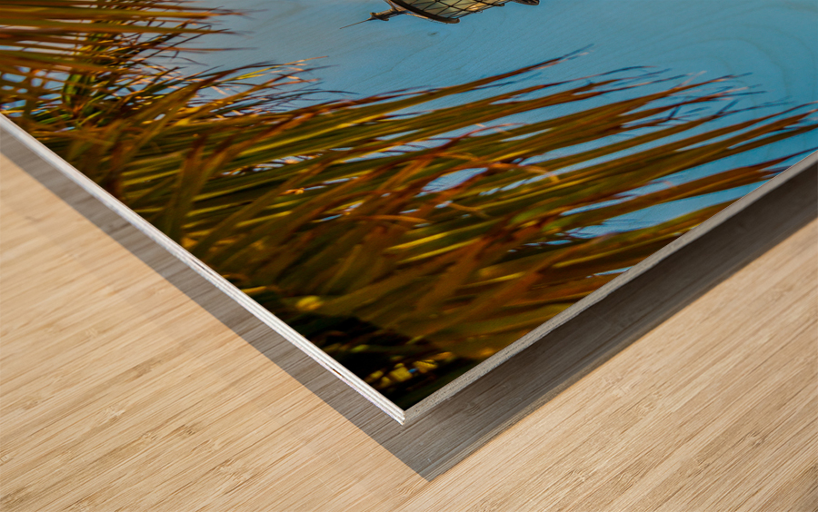 Cape Florida lighthouse in Bill Baggs State Park Impression sur bois