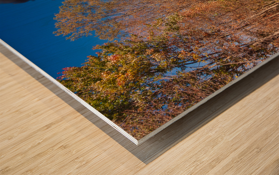 WMRR Steam train powers along railway Impression sur bois