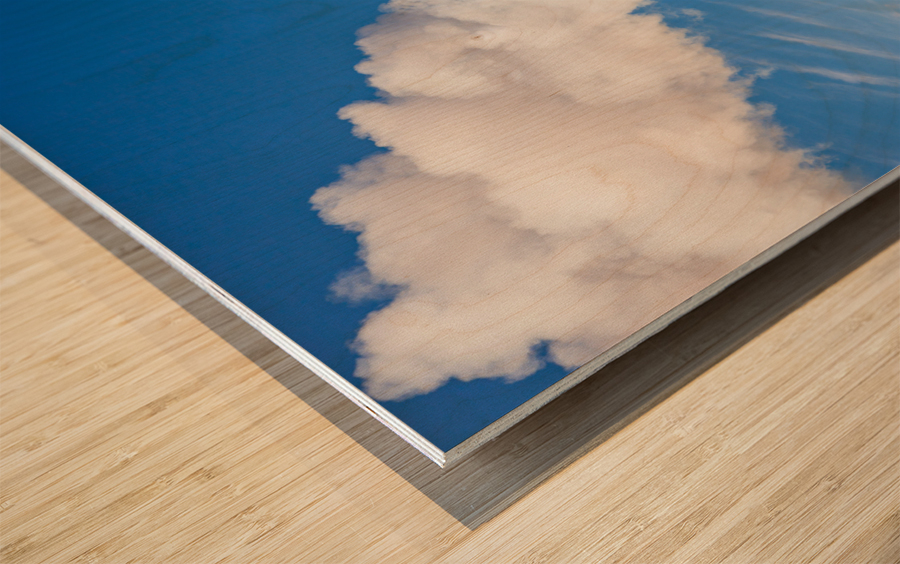 WMRR Steam train powers along railway Wood print