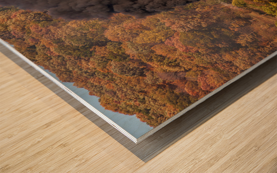 WMRR Steam train powers along railway Wood print