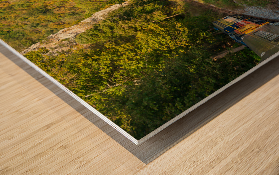 Diesel engine on train trip up gorge Impression sur bois