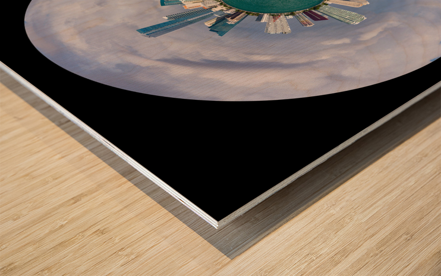 Little earth circular view of Miami Skyline Wood print