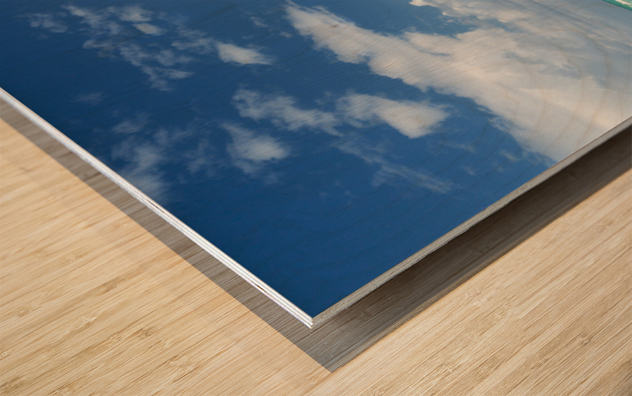 Round pink lifeguard station on Miami beach Wood print