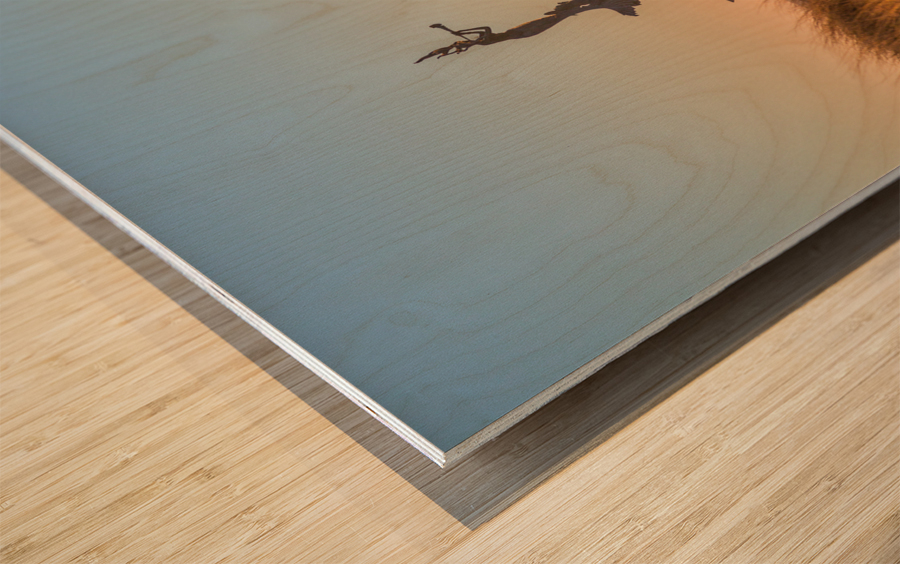 Mermaid statue entrance Ventura harbor Wood print