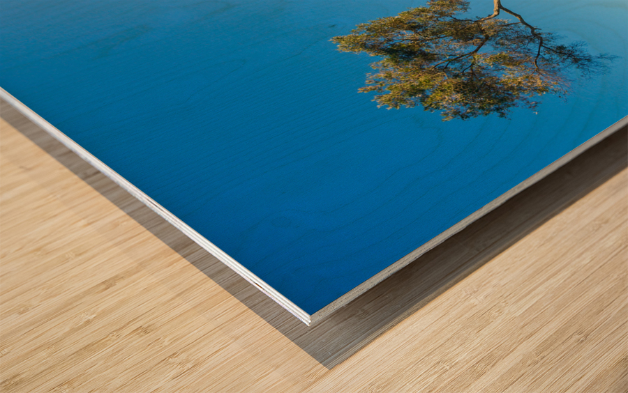 Serra Cross in Ventura California between trees Wood print