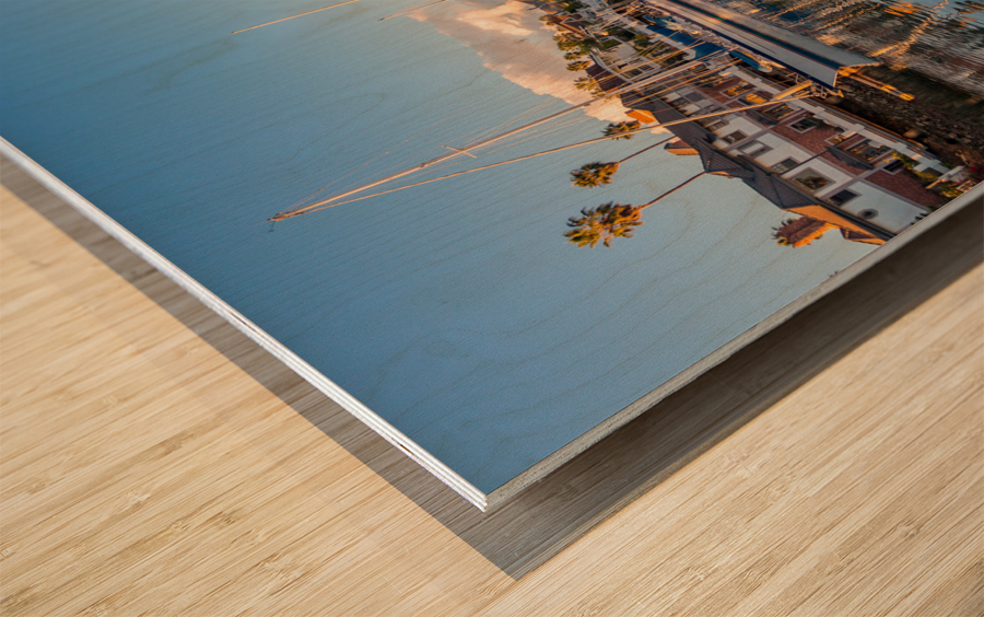 Expensive homes and boats ventura Wood print