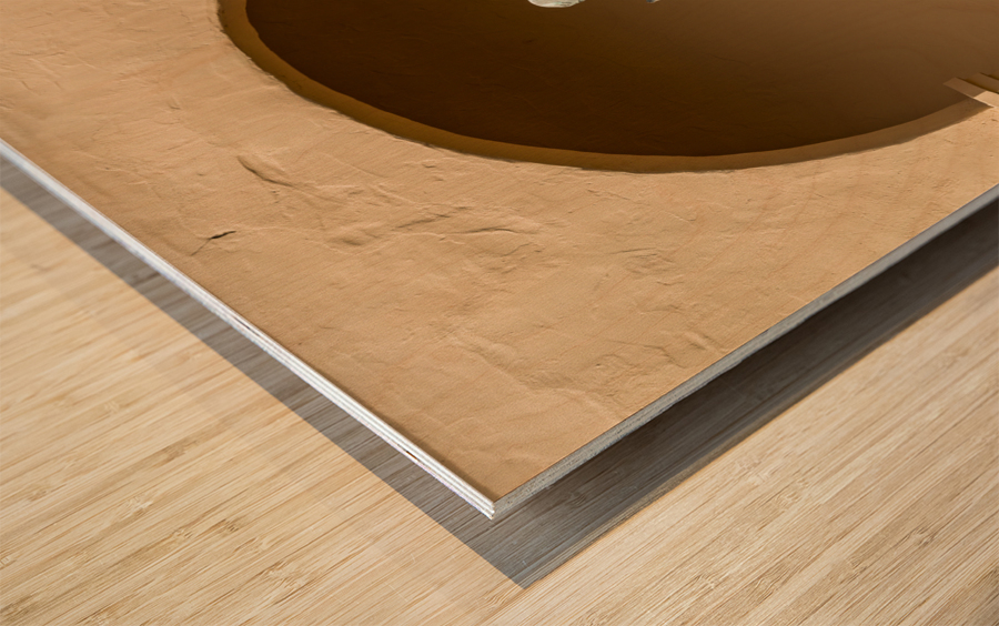 Father Junipero Serra statue Santa Ines Mission Wood print