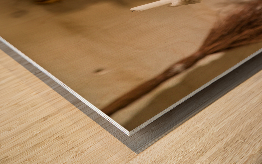 Candles in traditional kitchen in mission in California Wood print