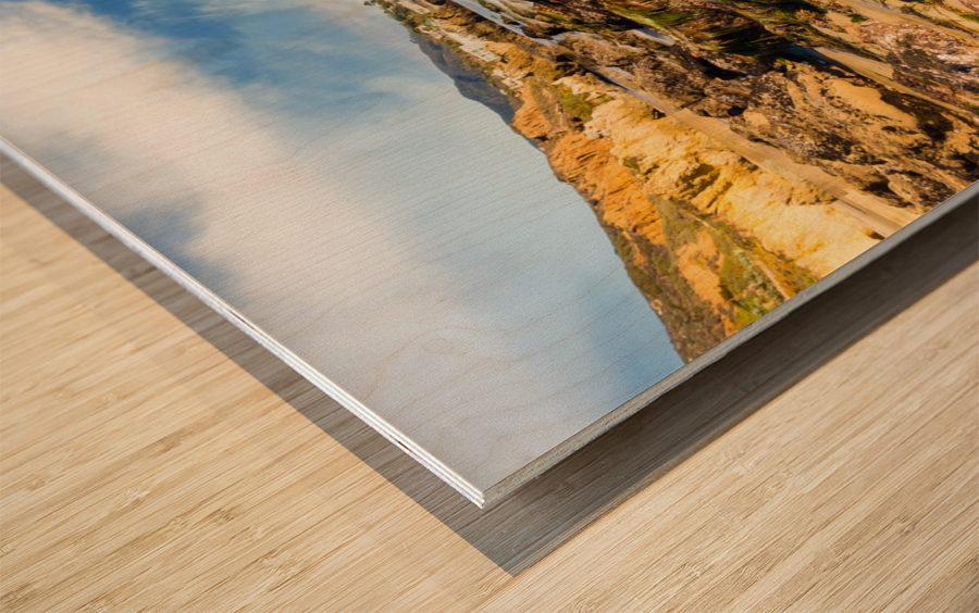 El Matador State Beach California Wood print