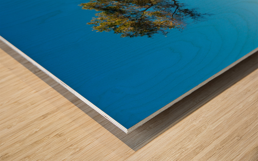 Serra Cross in Ventura California between trees Wood print