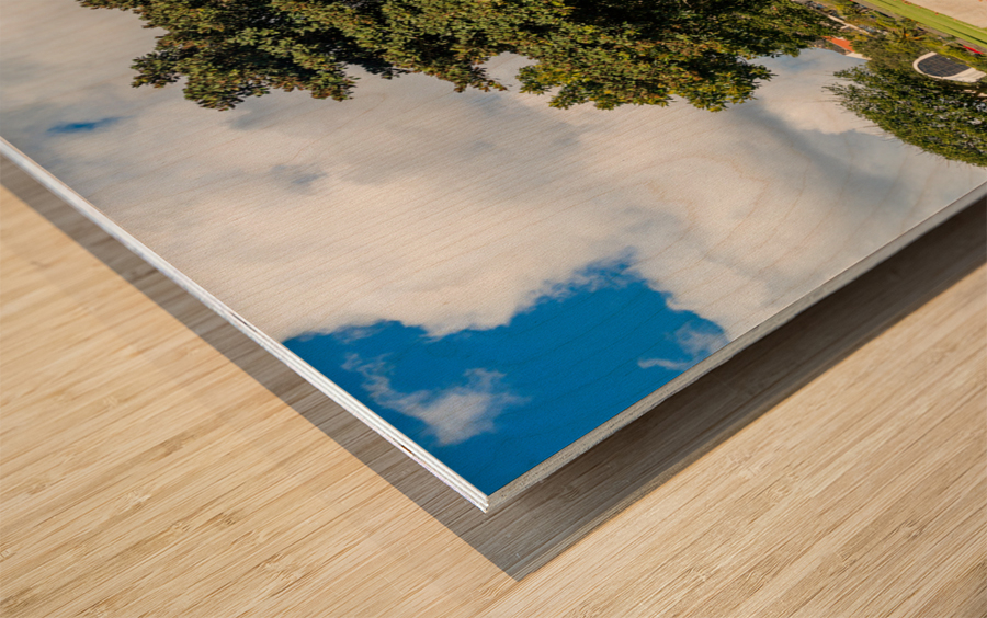 Campus at Pepperdine University Wood print