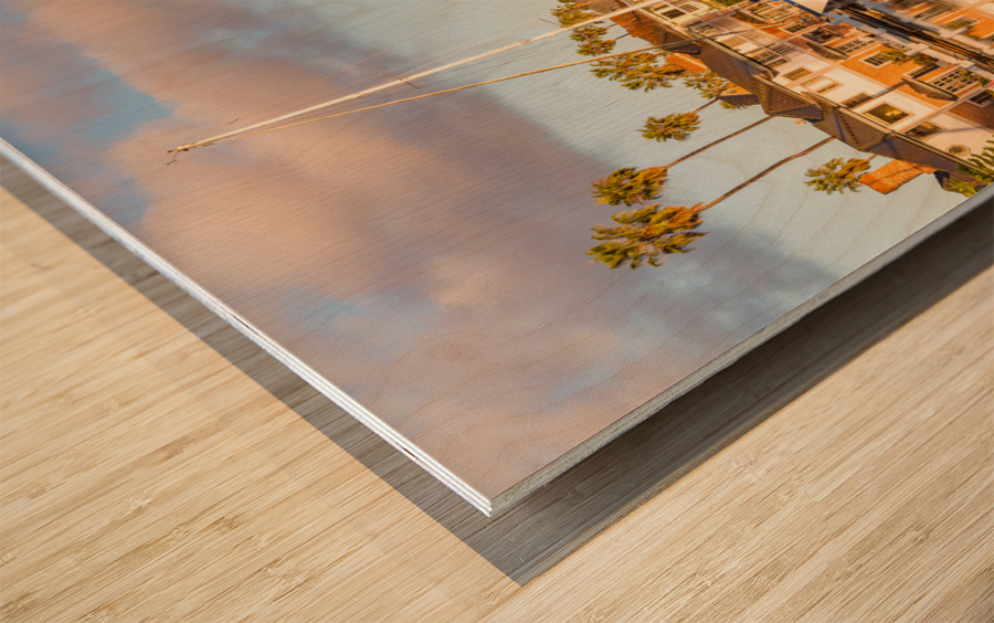 Expensive homes and boats ventura Wood print