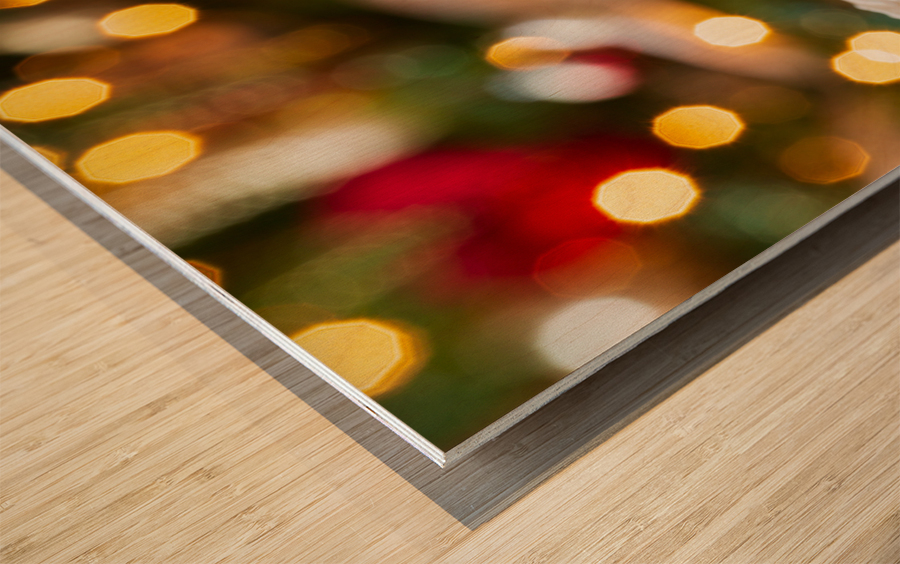 Seal on Christmas cake with tree lights Wood print