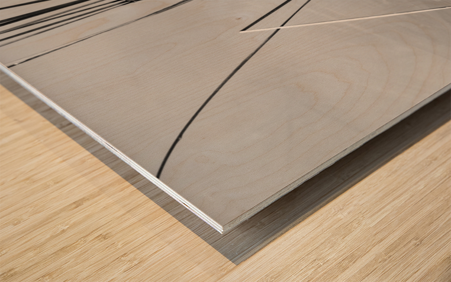 Empty bed of reeds in Everglades Florida Wood print