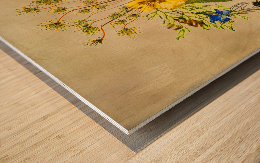 Arrangement of dried pressed flowers Wood print