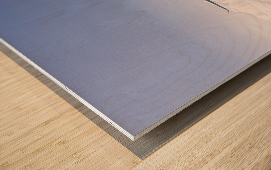 Airplane lands at Princess Juliana airport Wood print