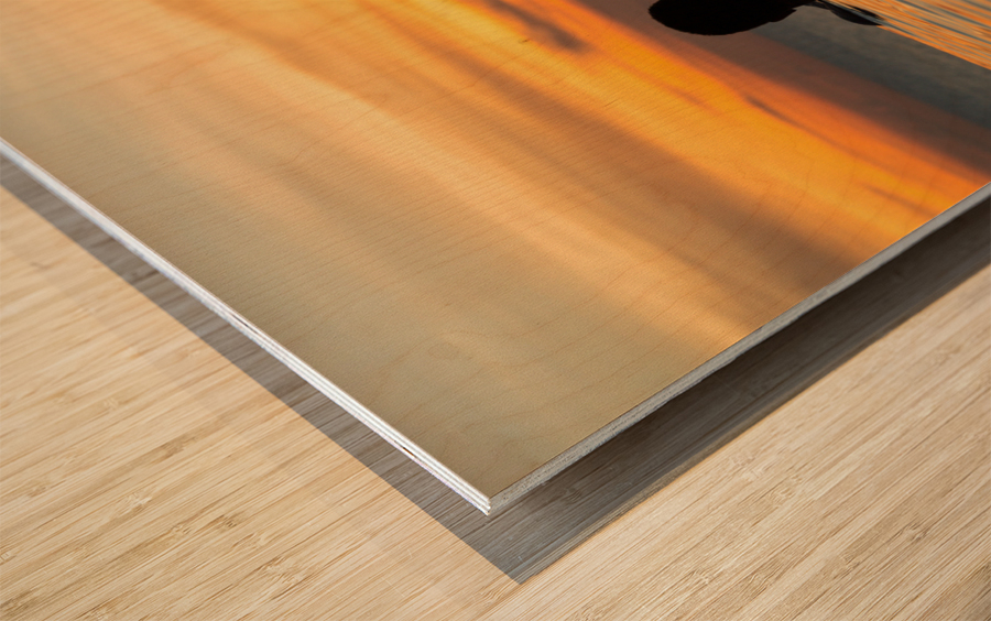 Silhouetted heads against infinity edge pool Wood print