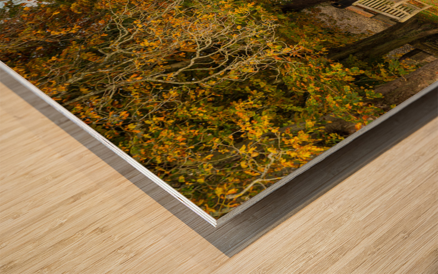 Seat overlooking deep ford in Shilton Oxford Wood print