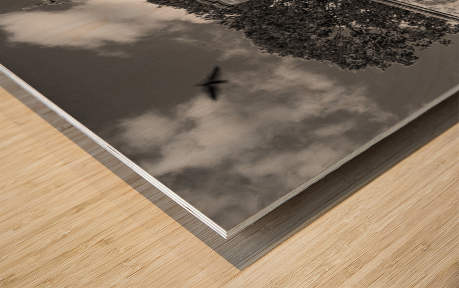 Abandoned historic British church monchrome Wood print