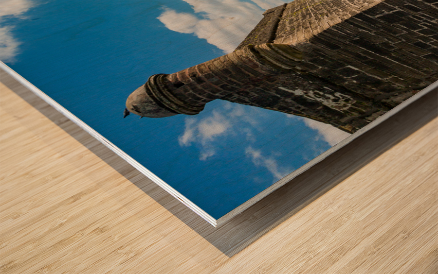 Castillo de San Marcos St Augustine FL Wood print