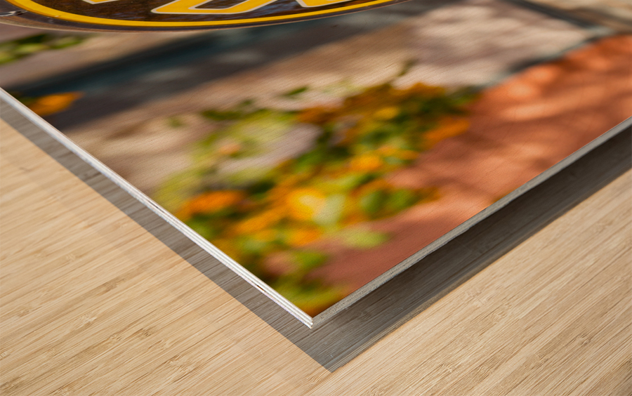 Reflections in Polly Gas pump Impression sur bois