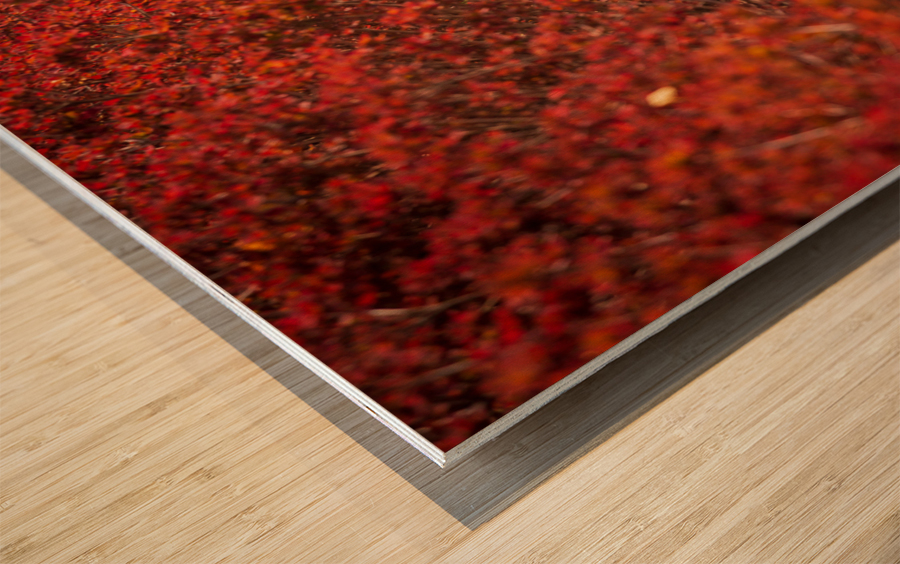 Modern wavy wooden bench in Yards Park Impression sur bois