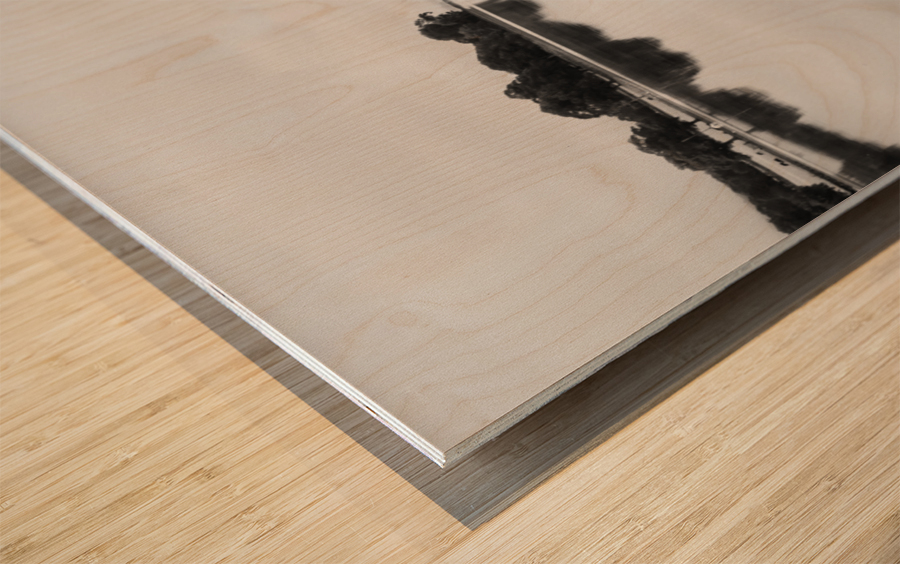 Reflection of branch in Coniston Water  Wood print