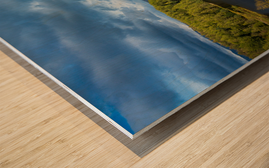 Tarn Hows in English Lake District Impression sur bois