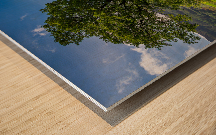 Tree with Langdale Pikes in Lake District Wood print
