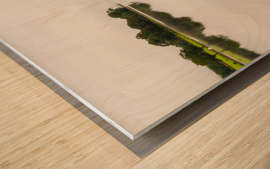 Reflection of branch in Coniston Water  Wood print