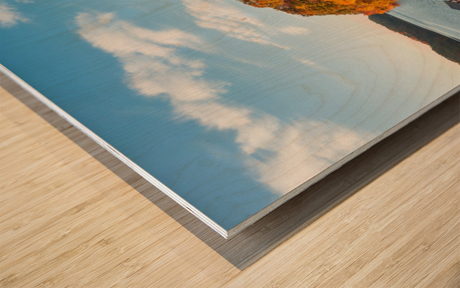 Aerial view with reflection of fall leaves in Cheat Lake Park Wood print