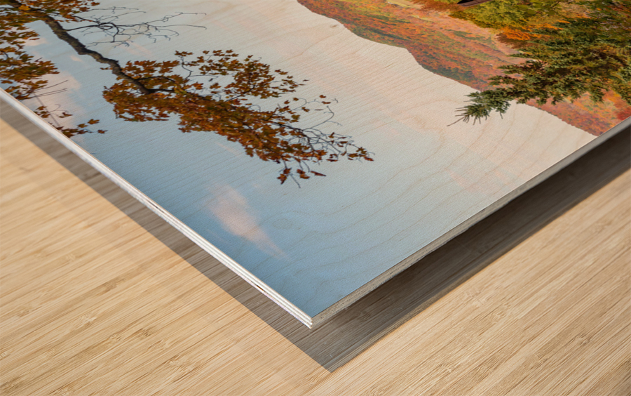 Horse drawn rake by fall colors in Vermont Wood print