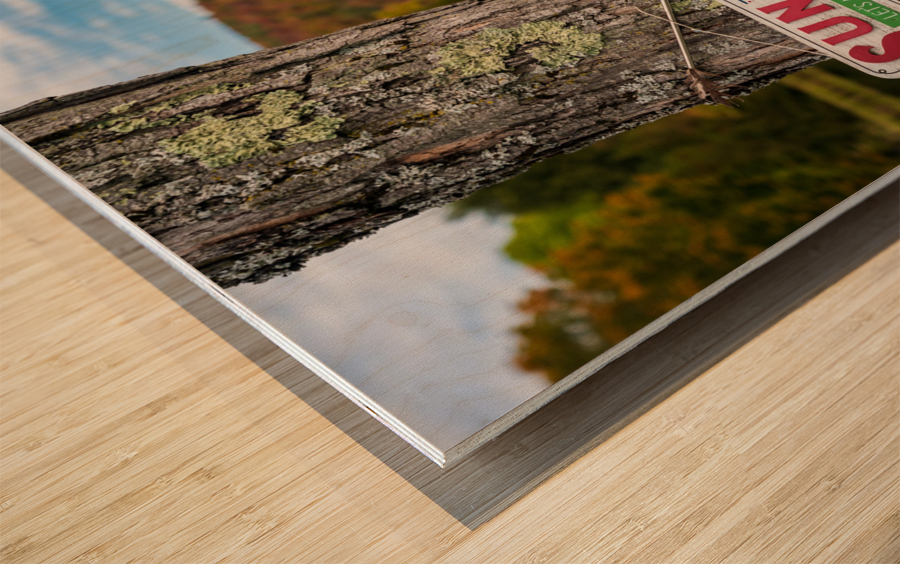 Sun and Fun swimming sign by Silver Lake Vermont Wood print