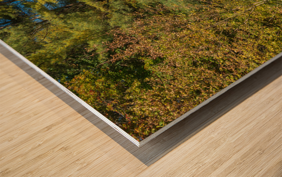 Lower covered bridge in Northfield Falls Vermont Wood print