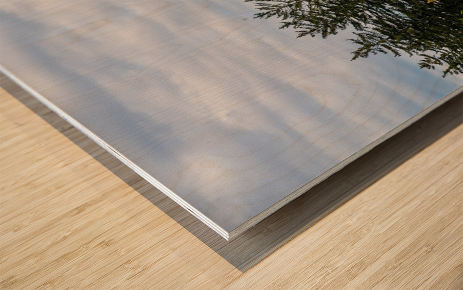 Old Colchester Reef lighthouse in Shelburne Wood print