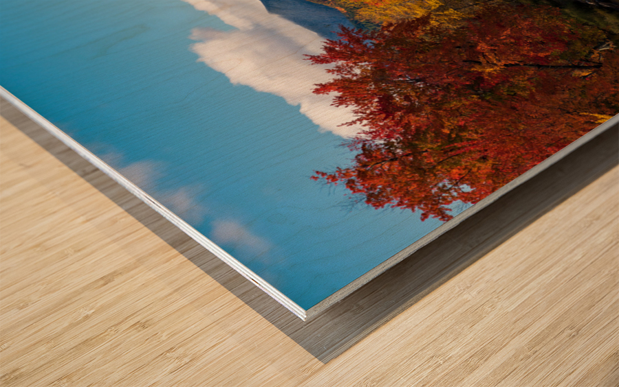 Saranac river flows through multi-colored fall landscape in Adir Wood print