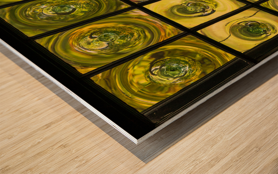 Window of old crown glass panes reflected garden Wood print