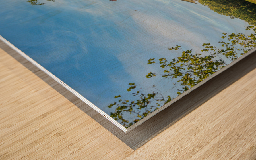 Thomas Stone house Port Tobacco Maryland Wood print