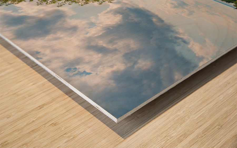 Statue of Jesus at Port Tobacco Maryland Wood print