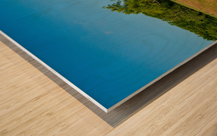 Thomas Stone house Port Tobacco Maryland Wood print