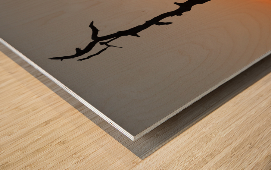 Gnarled tree on Skyline drive in Virginia Wood print