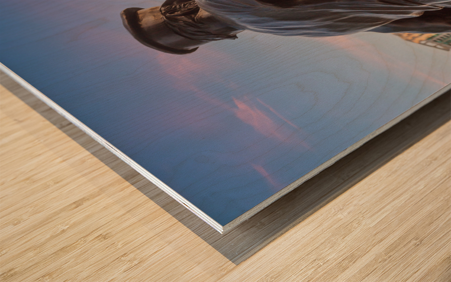 Captain on the Helm statue in Chicago Wood print