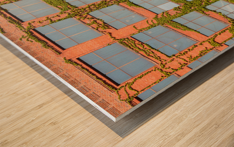 Modern Chicago office covered with plants Wood print