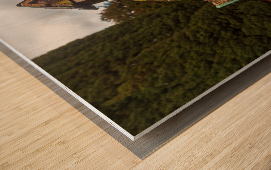 Old wooden cross in Stokesay graveyard Wood print