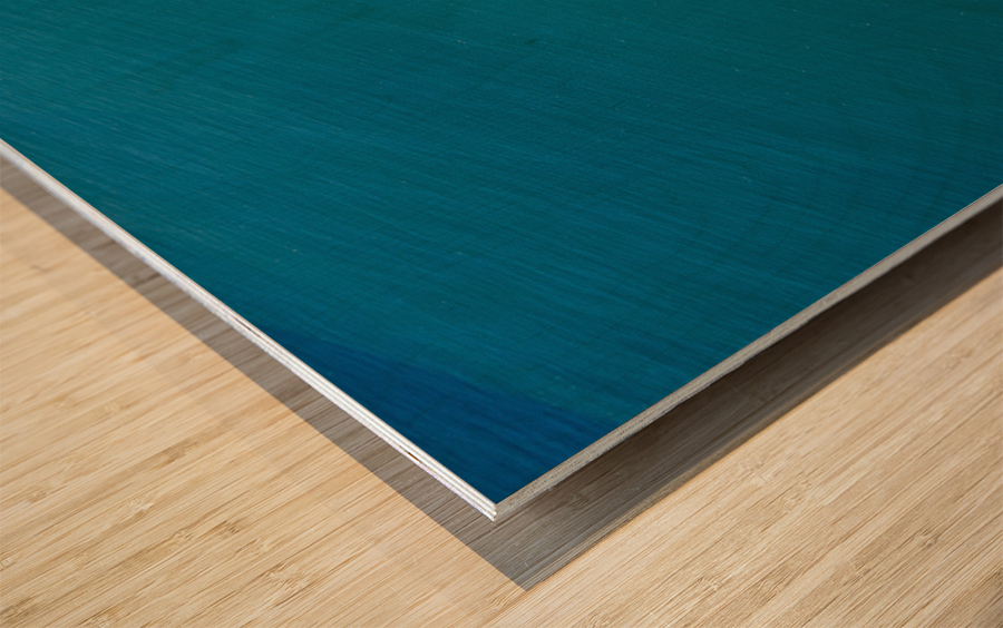 Garden Island of Kauai from helicopter tour Impression sur bois