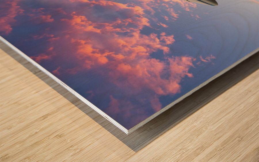 Space Shuttle Discovery flies into retirement Wood print